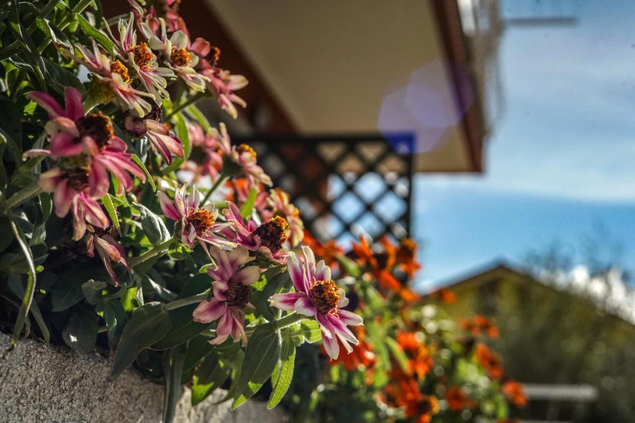 Agriturismo La Rocca ซานบาร์โตโลเมโอ อัล มาเร ภายนอก รูปภาพ