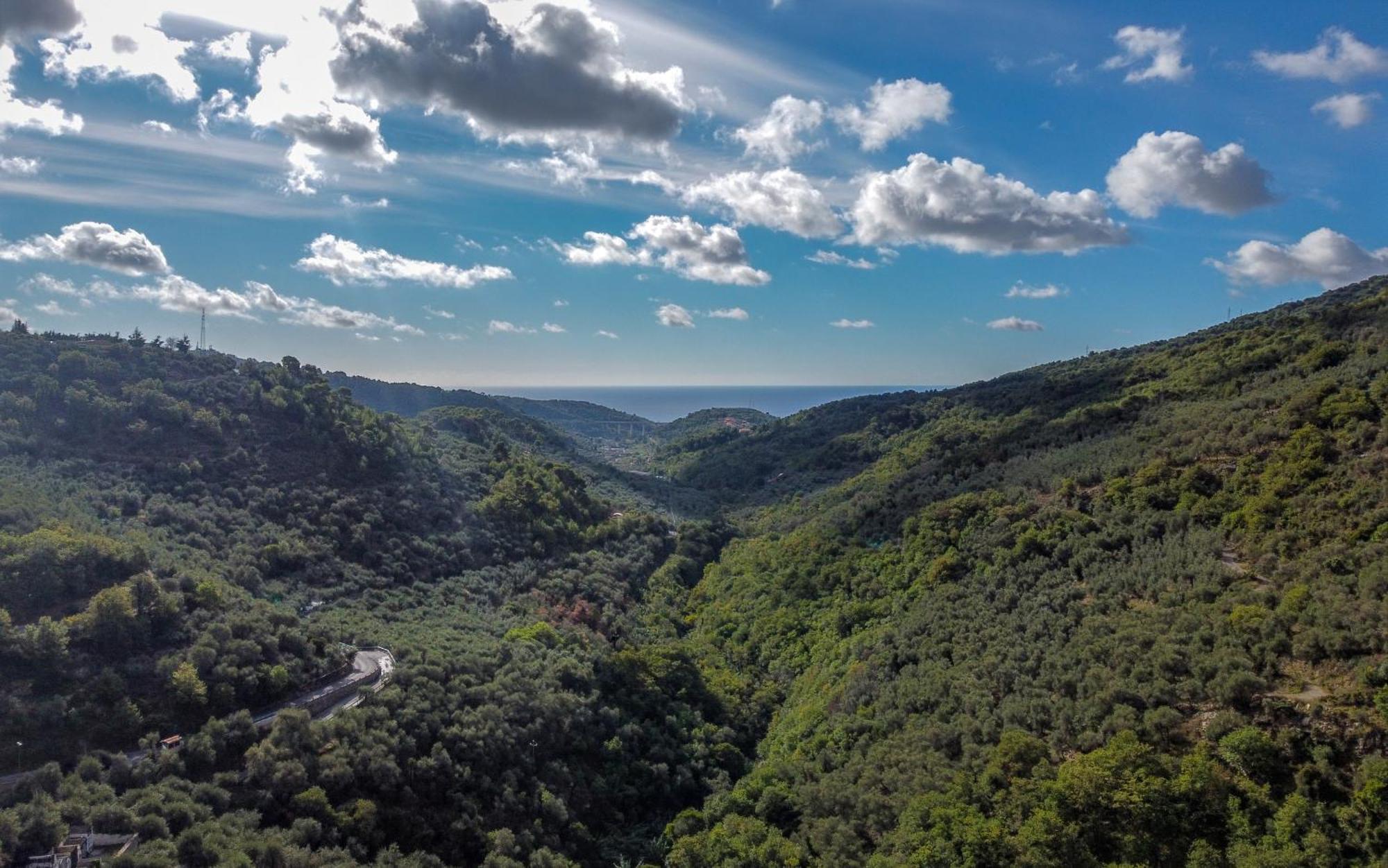 Agriturismo La Rocca ซานบาร์โตโลเมโอ อัล มาเร ภายนอก รูปภาพ