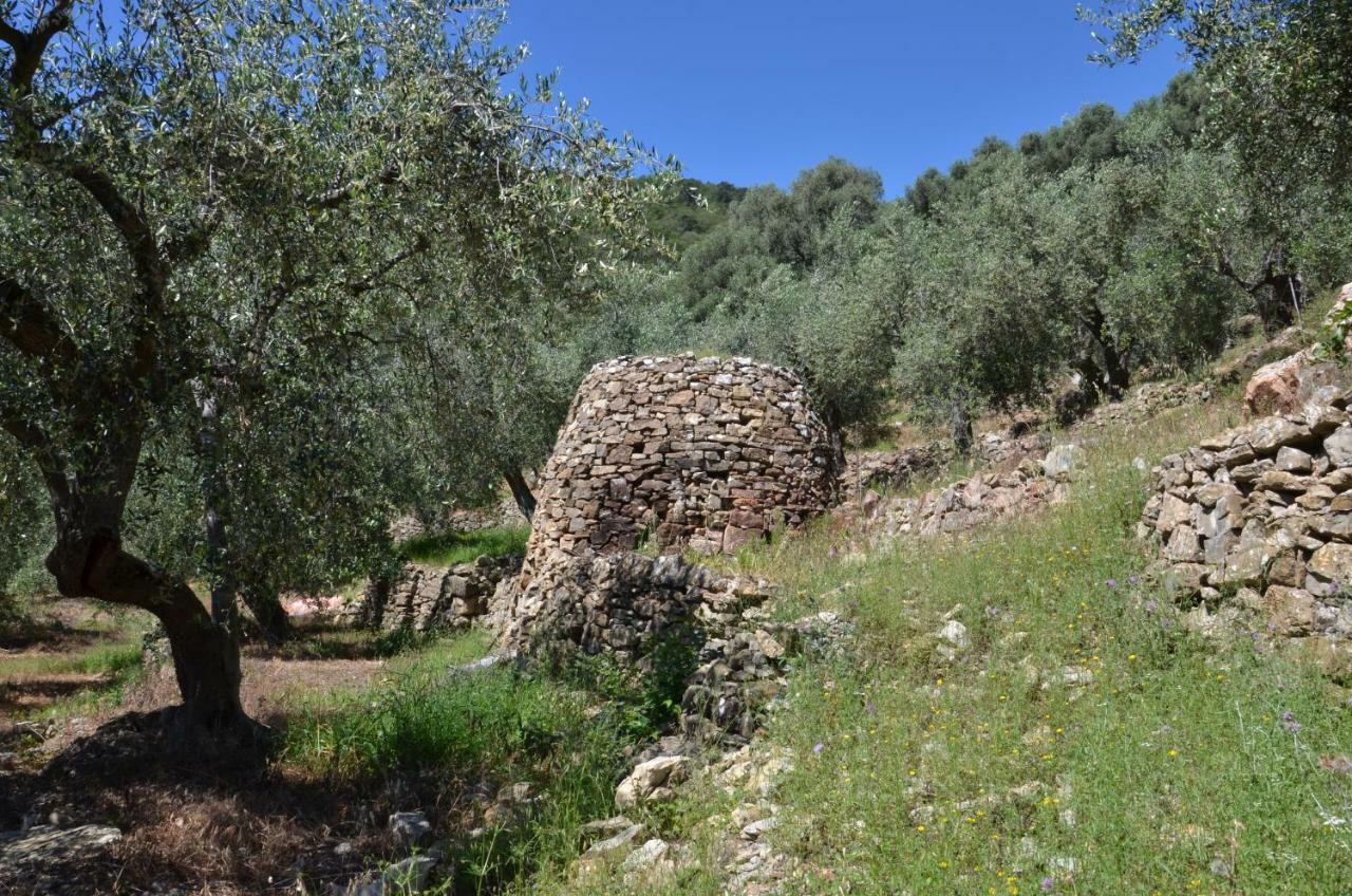 Agriturismo La Rocca ซานบาร์โตโลเมโอ อัล มาเร ภายนอก รูปภาพ